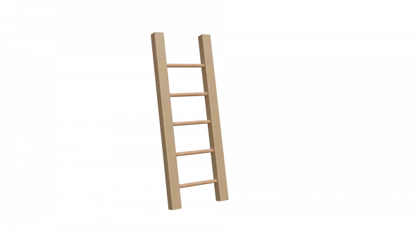 Ladder image 1